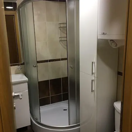 Lägenhet Pantic Zlatibor