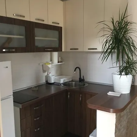 Lägenhet Pantic Zlatibor